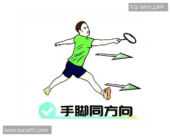 陈强独家分享羽毛球技巧与心得助你提升球技的全面指南